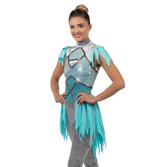 Color Guard Costume