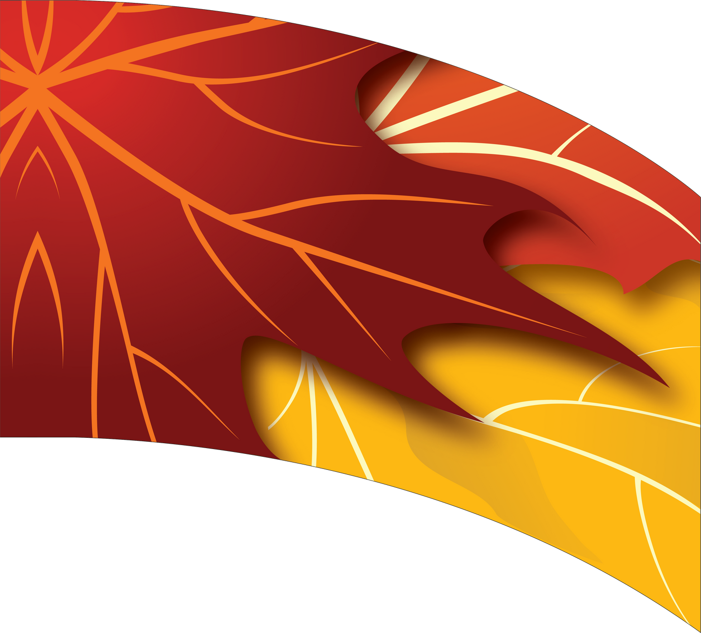 Curved Rectangle Flag