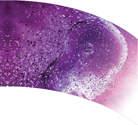 Curved Rectangle Flag DP2037