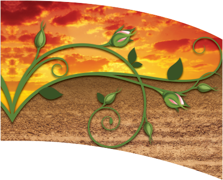 Curved Rectangle Flag DP2058