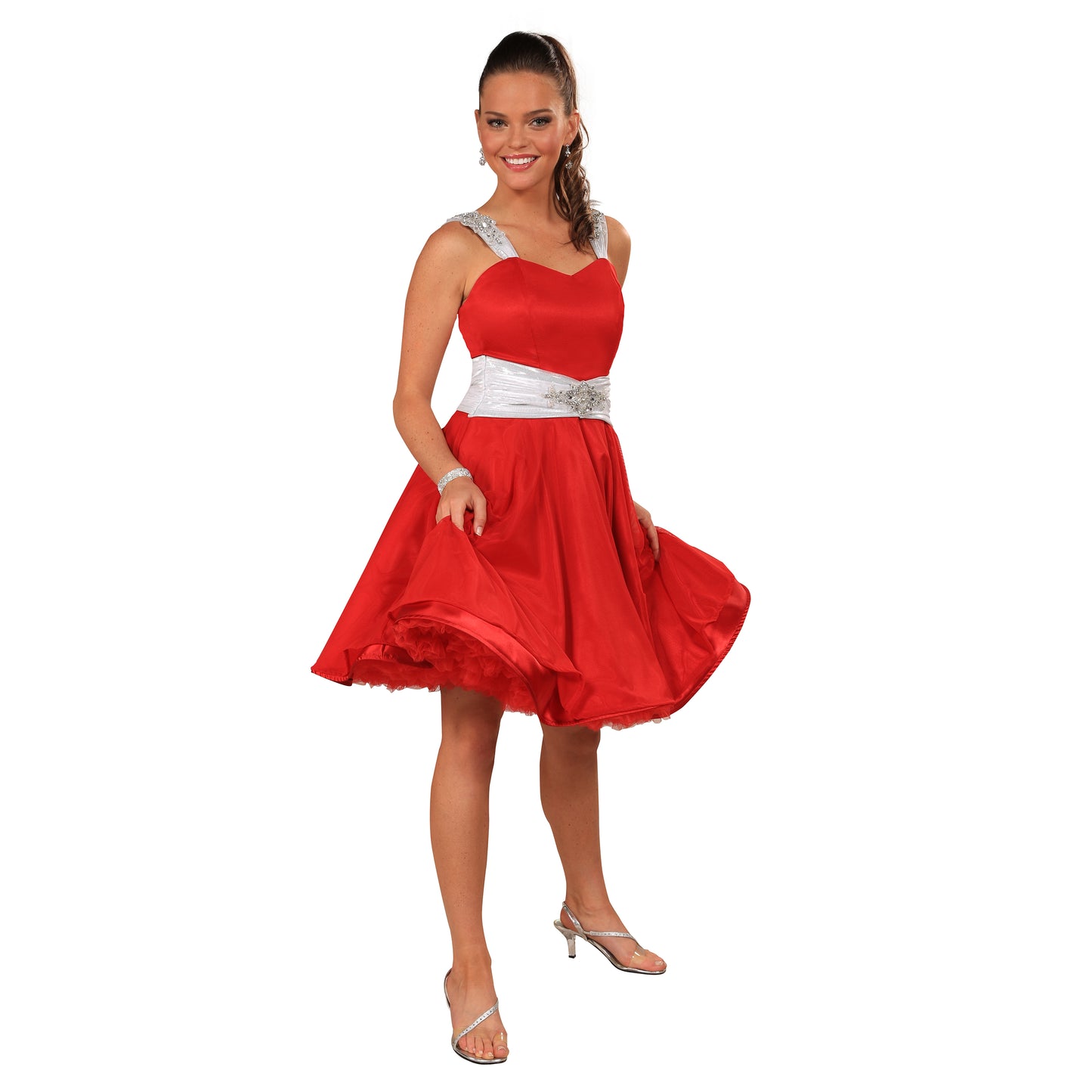 Petticoat Skirt Dress