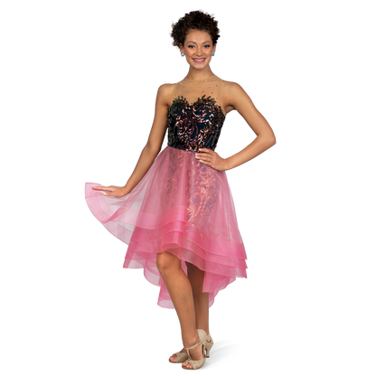 Sequin Lace Dress and Skirt